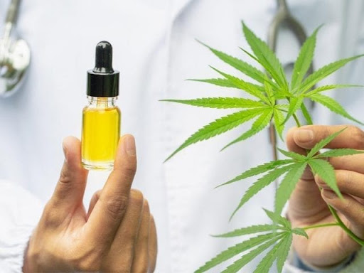 CBD Oil in Cancer Treatment